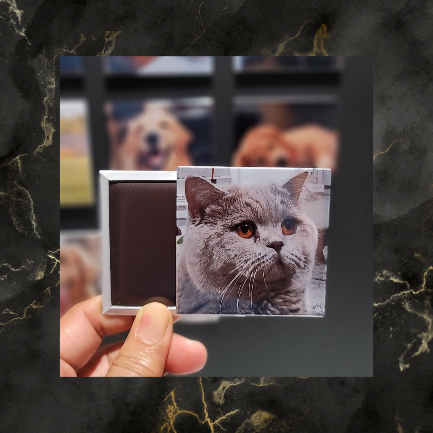 Fridge Photo Magnets